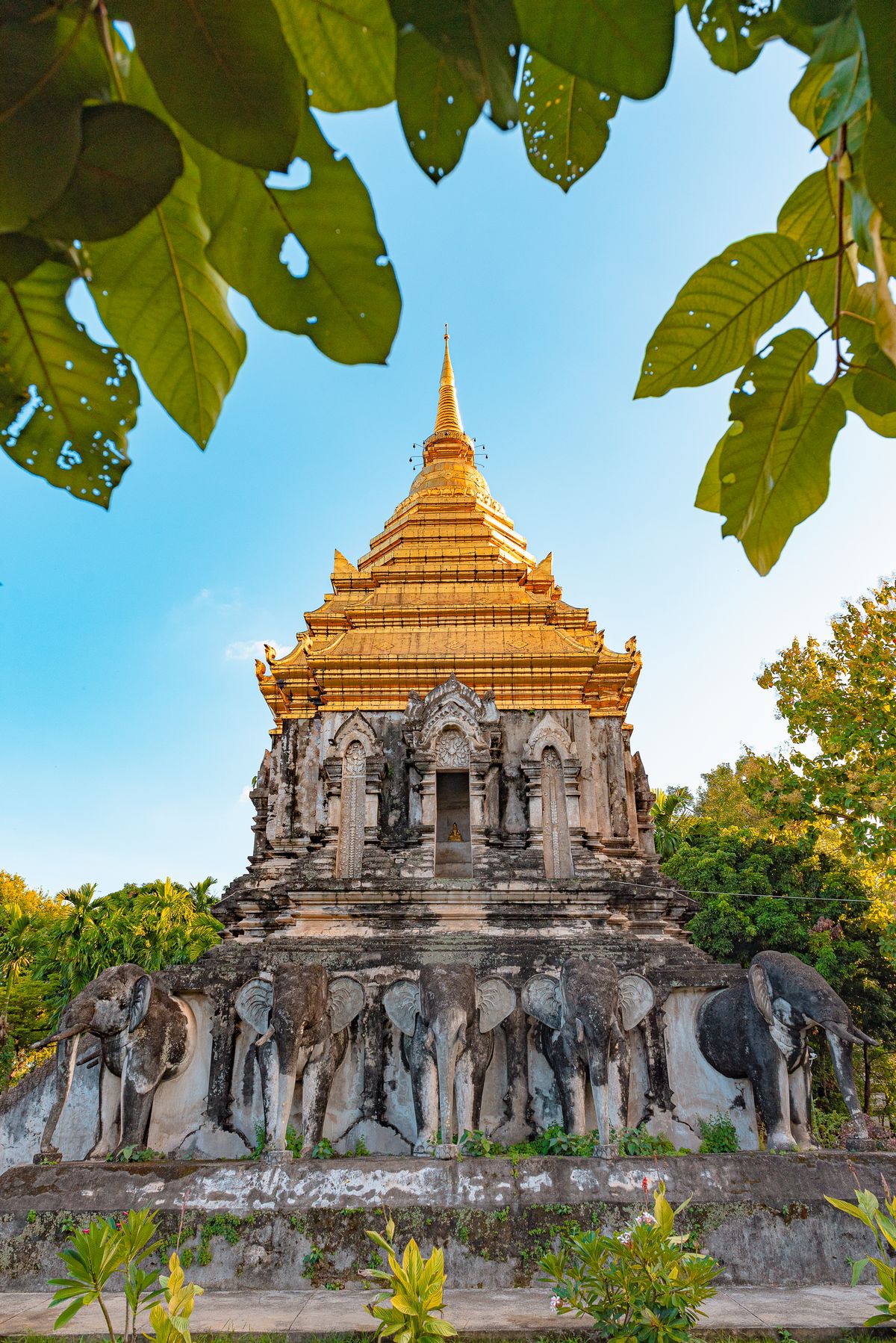 ภาพที่ 1